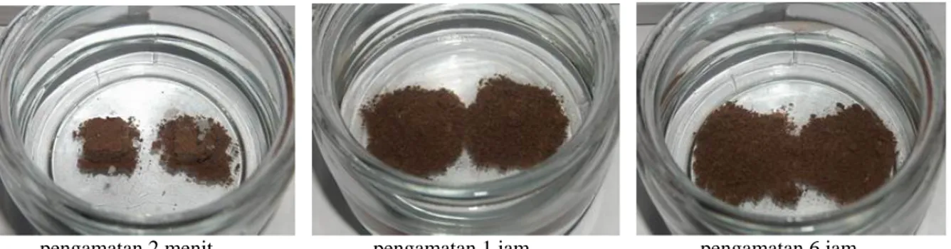 Tabel 3. Hasil uji dispersivitas pada pengamatan waktu 2 menit, 1 jam dan 6 jam. 