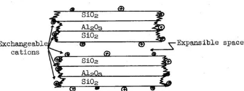 Gambar 7. Struktur mineral lempung montmorillonite (Cady, 1955). 