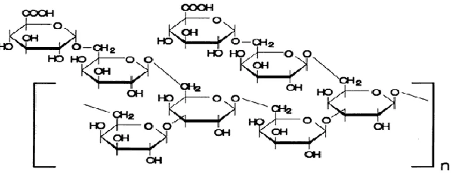 Gambar 1. Struktur kimia gum arab 
