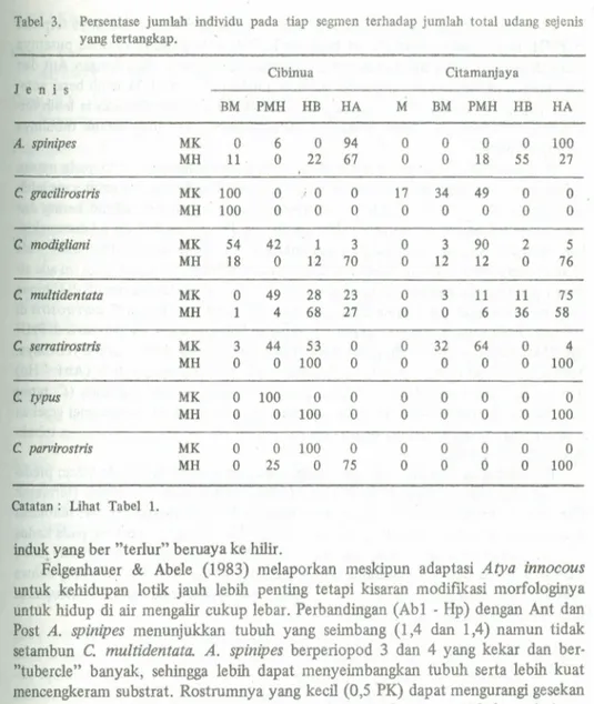 Tabel 3. Persentase jumlah individu pada tiap segmen terhadap jumlah total udang sejenis yang tertangkap