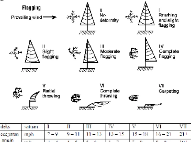 Gambar 1. Indeks beserta deformasi yang terjadi  pada pohon [2] 
