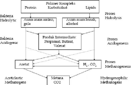 Gambar 1. Tahapan Pembuatan Biogas (Arifin, 2008) 