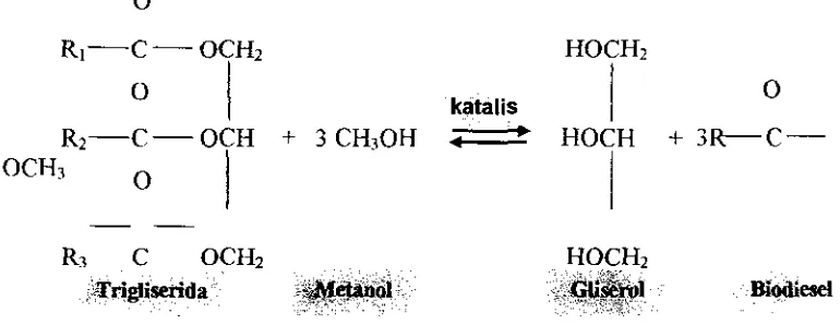 Gambar 3. Reaksi transesterifikasi 