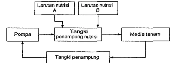 Gambar 7 Bagan aliran nutrisi secara ebb  andjow  (Ratri,2001) 