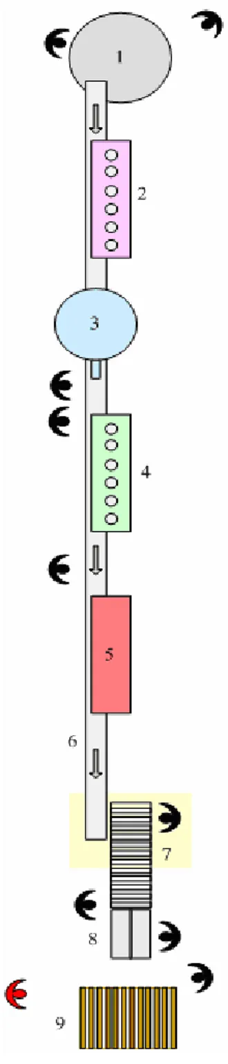 Gambar 1.2 Layout Lini Produksi 