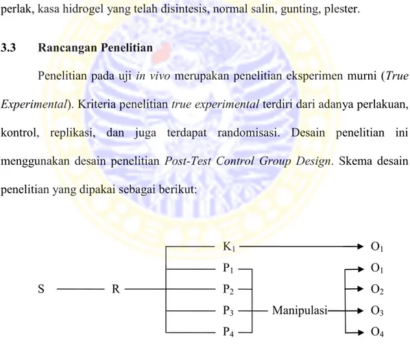 Gambar  3.1  Desain  Penelitian  Karakterisasi  In  Vivo  Komposit  Kitosan  -  Glutaraldehid Sebagai Wound Dressing