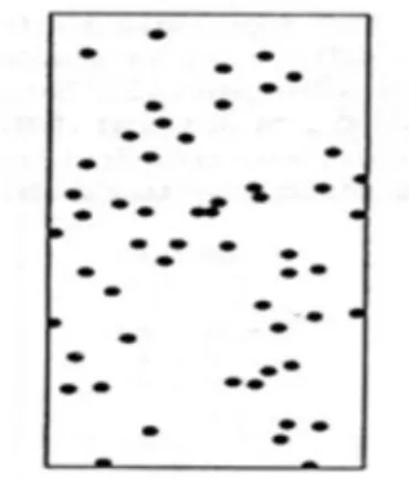 Gambar 1.  Pola penyebaran acak (random) (Krebs, 1989)