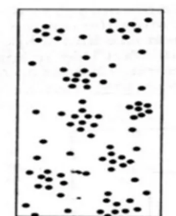 Gambar 3.  Pola penyebaran mengelompok (Krebs, 1989)