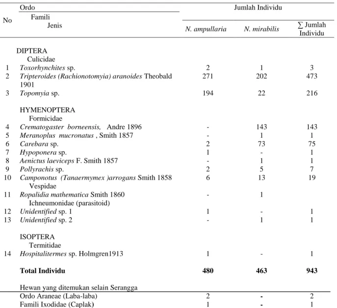 Tabel 1. Daftar Ordo, Famili, Jenis, dan Jumlah Individu Serangga pada tumbuhan Nepenthes ampullaria dan  Nepenthes mirabilis di HPPB  No  Ordo         Famili                 Jenis  Jumlah Individu 