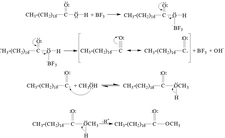 Gambar 10  Reaksi esterifikasi sintesis metil stearat. 