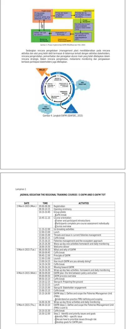 Gambar 3. Proses Implementasi EAFM (Modifikasi dari FAO, 2003) 