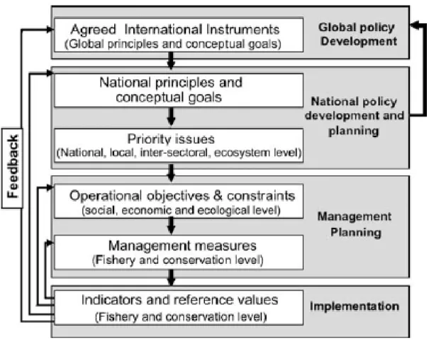 Gambar 2-2. Proses Implementasi EAFM (FAO, 2003) 