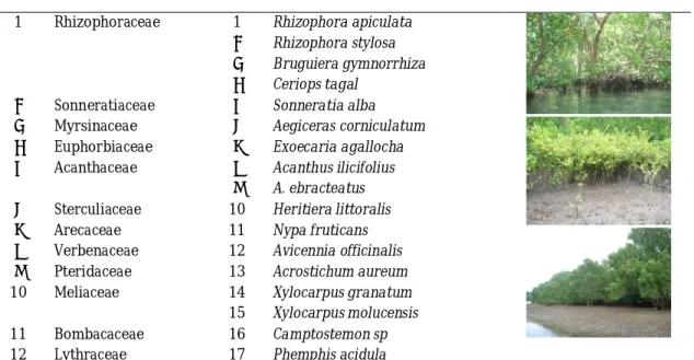 Tabel 11. Spesies-spesis Mangrove yang Dijumpai pada Lokasi Survei