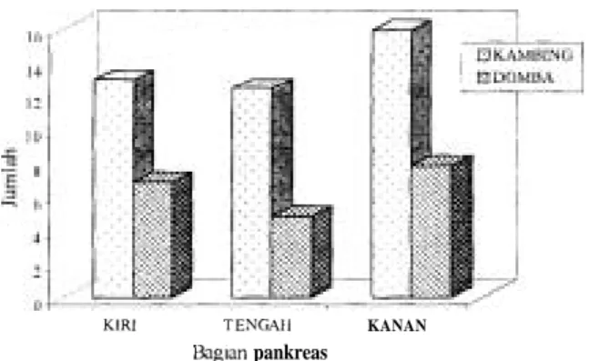 Gambar  2.  Distribusi dan frekuensi relatif*  pulau Langerhans  pada  pankreas  pambing  dan  domba lokal