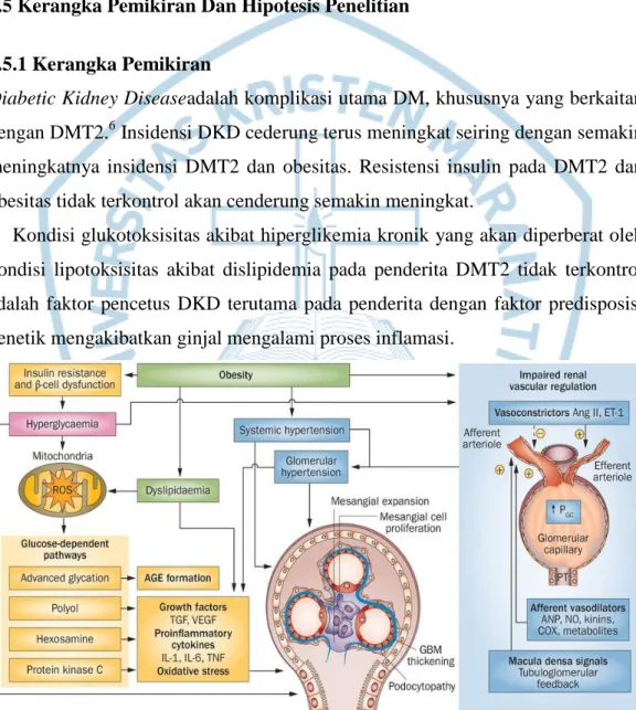 Gambar 1.1 Patogenesis diabetic kidney disease. 12