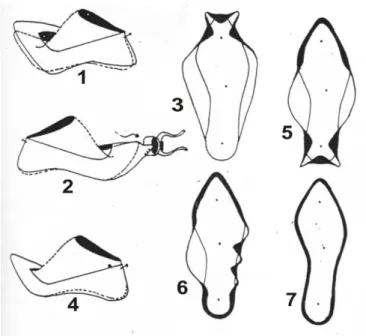 Gambar 25.  Urutan pengopenan  