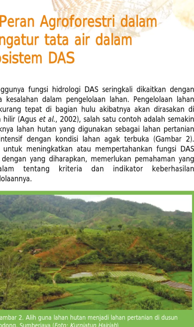 Gambar 2. Alih guna lahan hutan menjadi lahan pertanian di dusun Bodong, Sumberjaya (Foto: Kurniatun Hairiah)