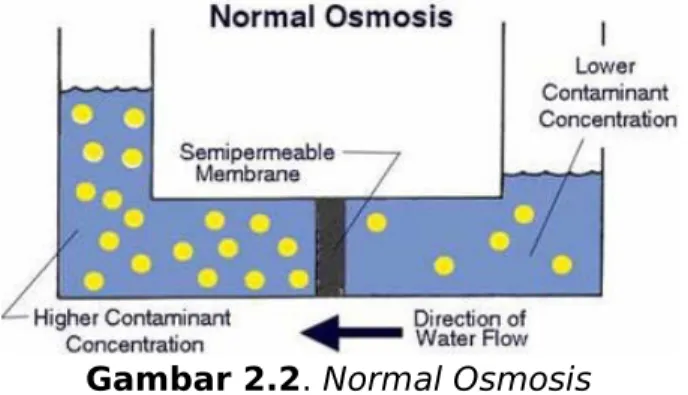 Gambar 2.2. Normal Osmosis
