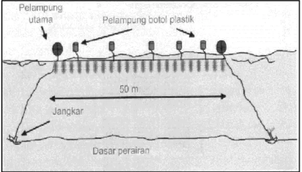 Gambar 2. Diagram Lingkar Sebab-Akibat  (Causal Loop Diagram) Usaha  Pengembangan Budidaya Rumput Laut  (Eucheuma cottonii) di Pantai Cipatujah 