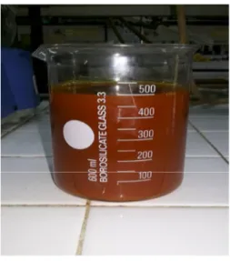 Gambar 1. Crude Palm Oil       