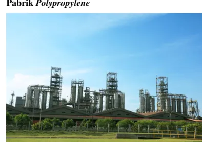 Gambar 4. Pabrik Polypropylene 