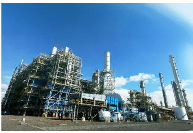 Gambar 2. Pabrik Olefins 