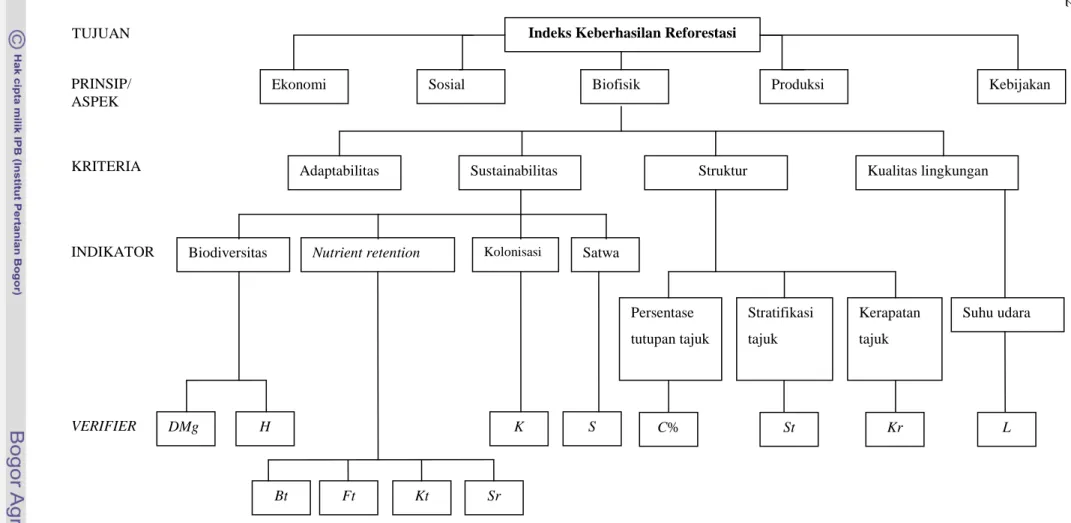 Gambar 4  Struktur hirarki kriteria dan indikator dalam mengukur indeks keberhasilan reforestasi
