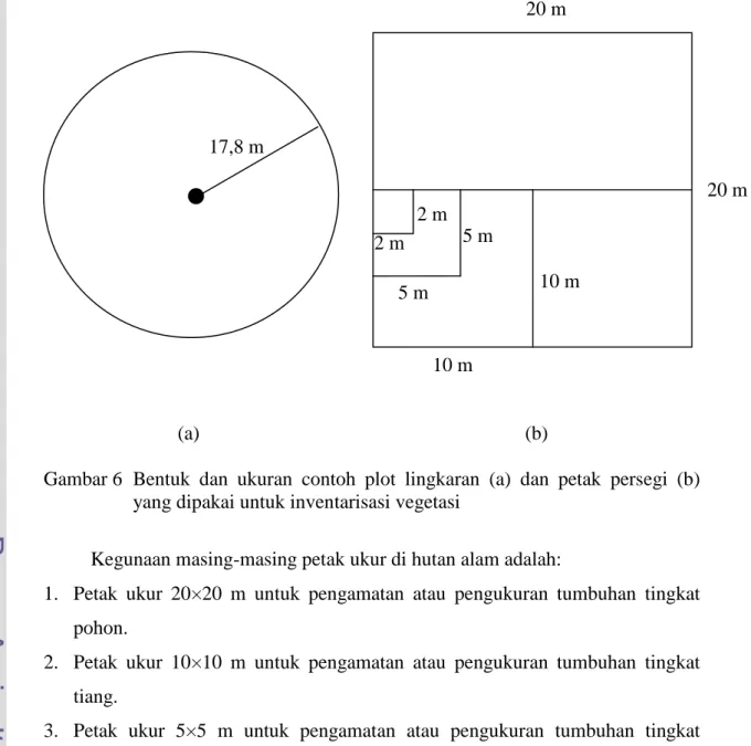 Gambar 6   Bentuk dan ukuran contoh plot lingkaran (a) dan petak persegi (b)  yang dipakai untuk inventarisasi vegetasi 