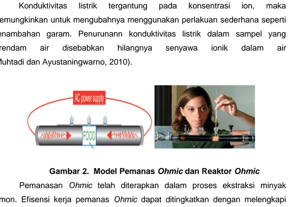 Gambar 2.  Model Pemanas Ohmic dan Reaktor Ohmic 