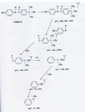 Gambar 6. reaksi sintesis senyawa N-4t- N-4t-butilbenzoil-p-aminofenol  Jika  dilihat  dari  rendemen  yang  kecil  maka  pada  sintesis  ini  perlu  diperhatikan  pH  nya