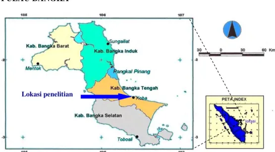 Gambar 2   Peta kabupaten dan kota di Pulau Bangka (PT. Koba Tin 2004). 