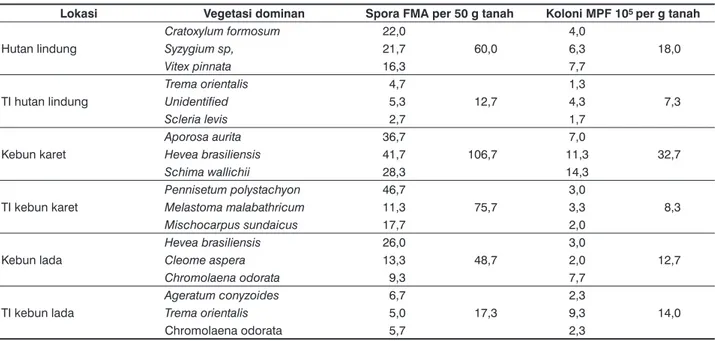 Tabel 3.  Rata-rata jumlah spora fungi mikoriza arbuskula (FMA) per 50 g tanah, dan jumlah koloni mikroba pelarut fosfat (MPF) per  g tanah pada masing-masing tiga vegetasi dominan di hutan lindung, lahan pascatambang (TI) hutan lindung, kebun karet,  laha