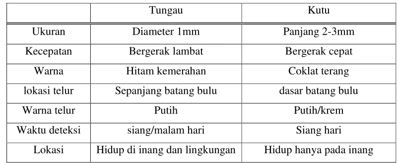 Tabel 1. Perbandingan antara kutu dengan tungau 