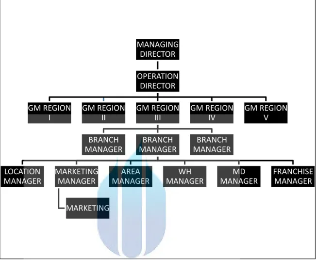 Gambar II.1 Struktur Organisasi PT. Sumber Alfaria Trijaya  Sumber : PT. Sumber Alfaria Trijaya, 2015 