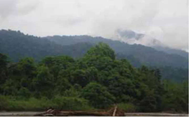 Gambar 2. Hutan hujan tropis dataran rendah   di kawasan TN.Aketajawe Lolobata 