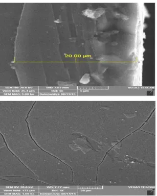 Gambar 6. foto SEM (a) ketebalan lapisan tipis  ZnO/TiO 2  dan (b) permukaan film ZnO/TiO 2