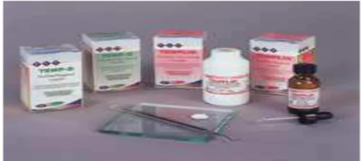 Gambar 1. Contoh produk semen Seng Oksida Eugenol  Sumber: http://www.pspdentalco.com/cements.html 