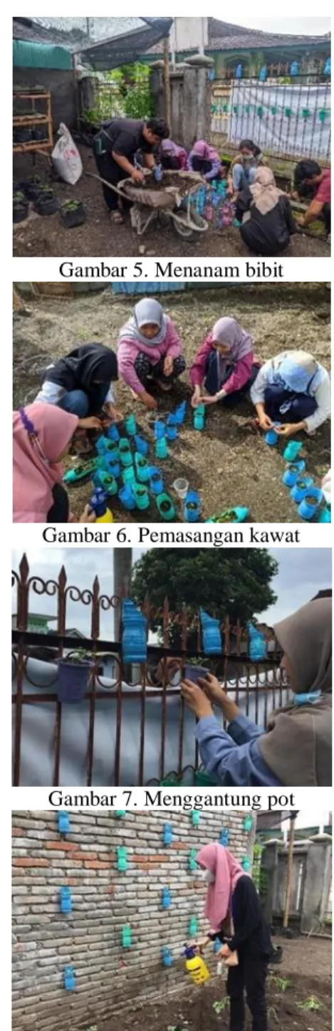 Gambar 5. Menanam bibit 