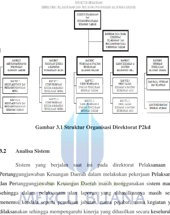 Gambar 3.1 Struktur Organisasi Direktorat P2kd 