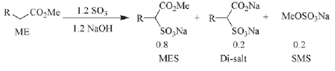 Gambar 5. Mekanisme reaksi sulfonasi metil ester 