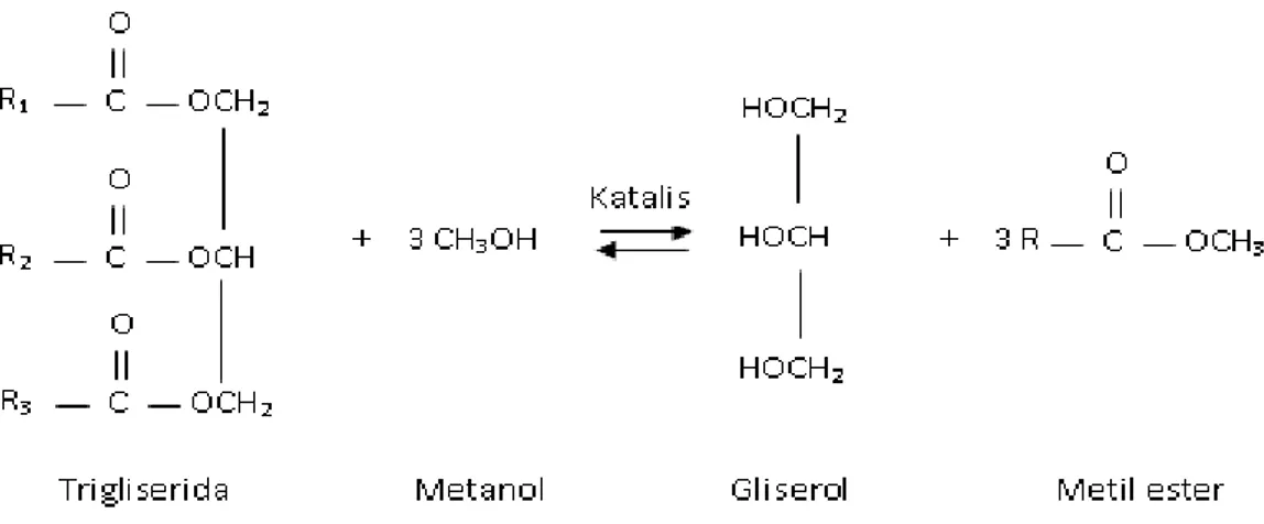 Gambar 3. Reaksi transesterifikasi trigliserida dengan metanol 