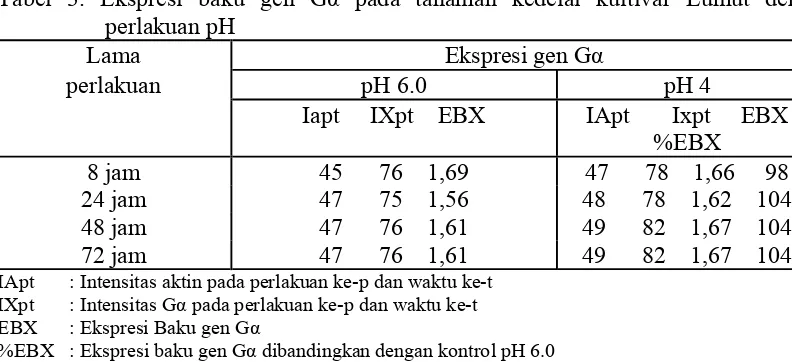 Tabel 3. Ekspresi baku gen Gα pada tanaman kedelai kultivar Lumut dengan perlakuan pH 