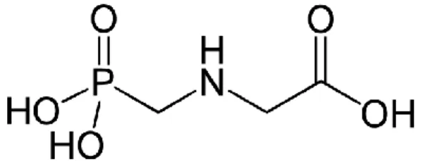 Gambar 8.  Struktur kimia Glifosat (Riadi,2011) 