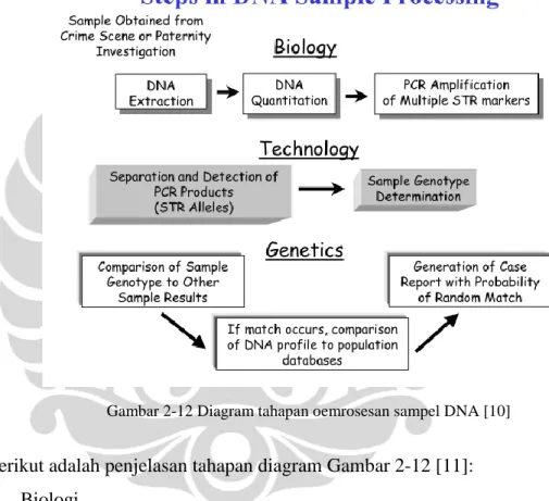 Gambar 2-12 Diagram tahapan oemrosesan sampel DNA [10] 