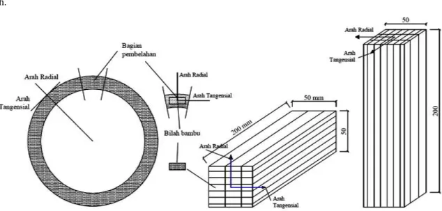 Gambar 1. Tampang bambu utuh, bilah bambu, dan benda uji tekan bambu laminasi