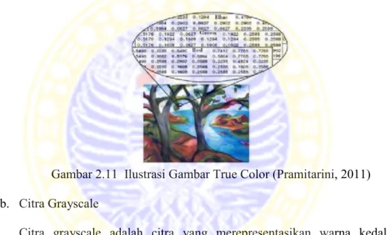 Gambar 2.11 Ilustrasi Gambar True Color (Pramitarini, 2011) b. Citra Grayscale