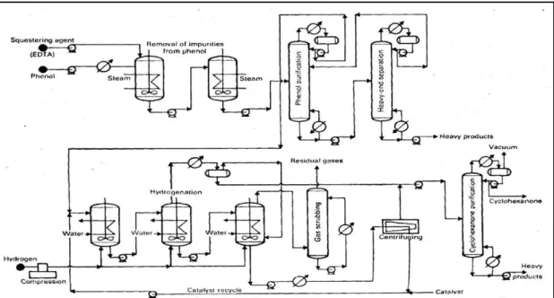 Gambar 2.2 Produksi Kaprolaktam dari Fenol dengan Allied Chemical Pheno Process       