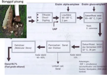 Gambar 4. Diagram alir proses pembuatan bioetanol dari bonggol pisang