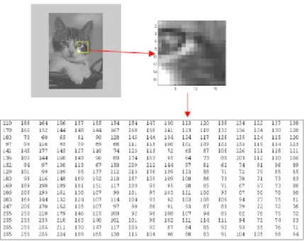 Gambar 2.3. Matriks nilai pixel image. 