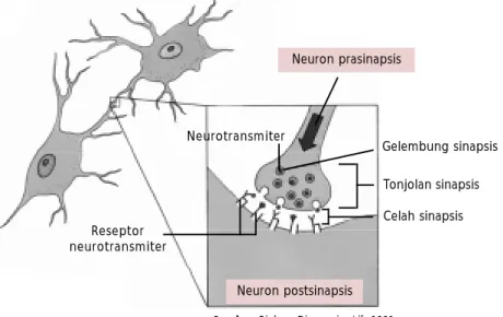 Gambar 8.4 Struktur sinapsis